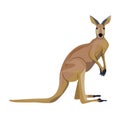 Big red Australian kangaroo. Wild animals of Australia. Fauna. Endemic species. Vector illustration Royalty Free Stock Photo